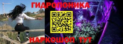 Альфа ПВП Беслан