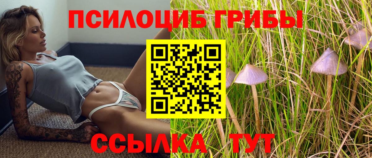 Кисловодск  Псилоцибиновые грибы GOLDEN TEACHER  магазин продажи наркотиков  Вход с VPN 